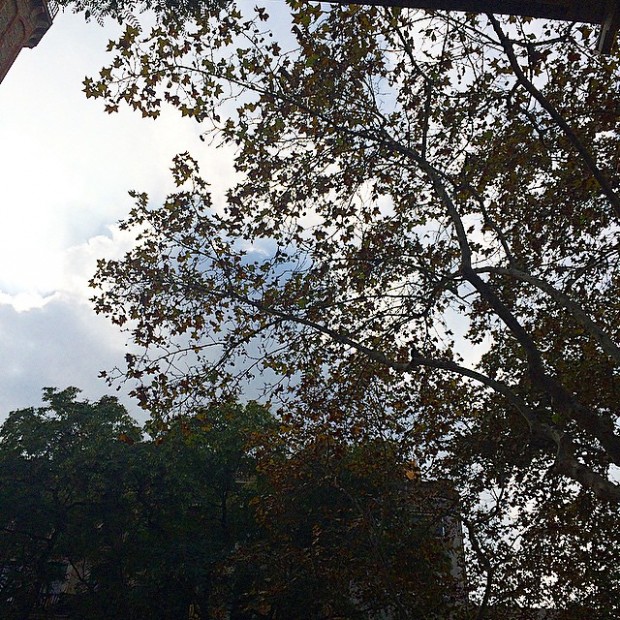 cielo entre las hojas plaça de la vila barcelona