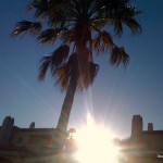 palmera sol miami playa victor amela