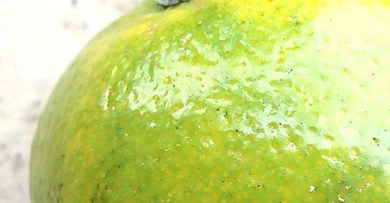 Piel De Mandarina Verde