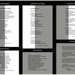 Pliego De La Presentacion De Poesia Revista Roser Amills