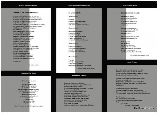 pliego de poesia revista roser amills