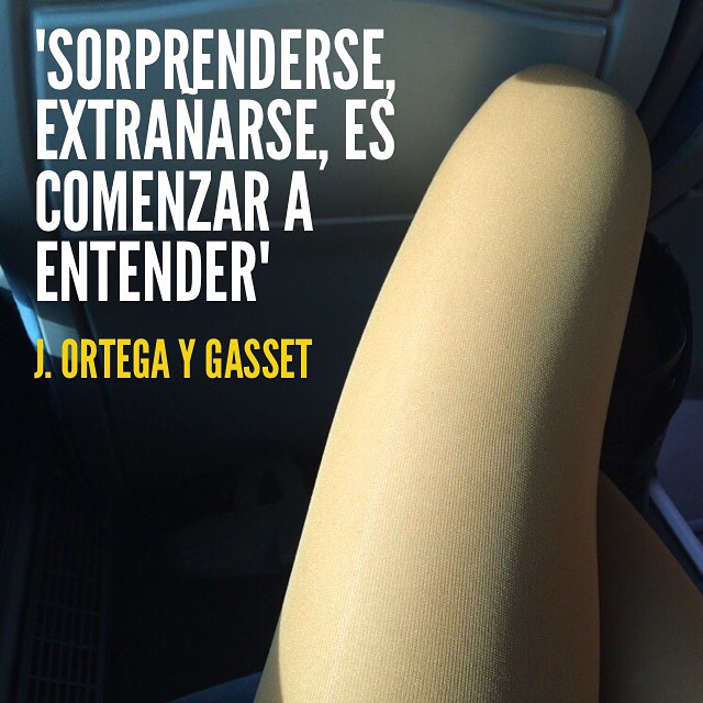"Sorprenderse, extrañarse, es comenzar a entender" J. Ortega y Gasset