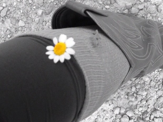 Botas de Roser Amills margarita