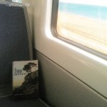 Novela fes bondat de roser amills