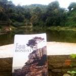 Novela fes bondat de roser amills