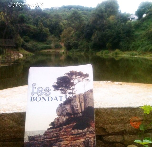 Novela fes bondat de roser amills