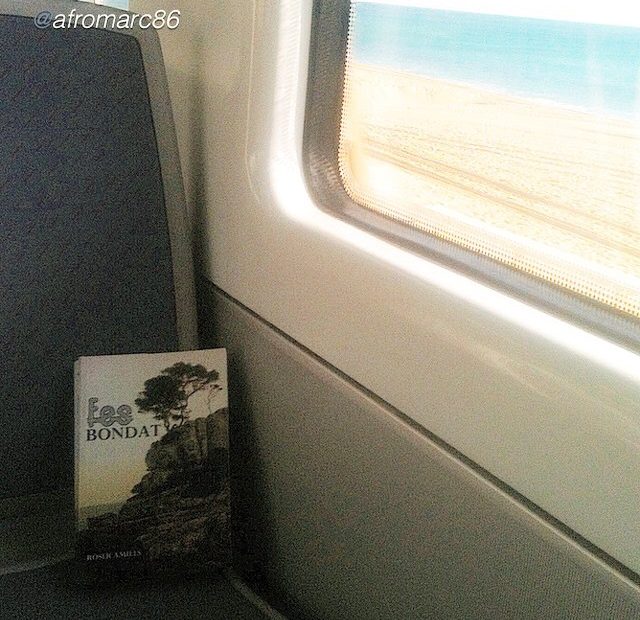 Novela fes bondat de roser amills