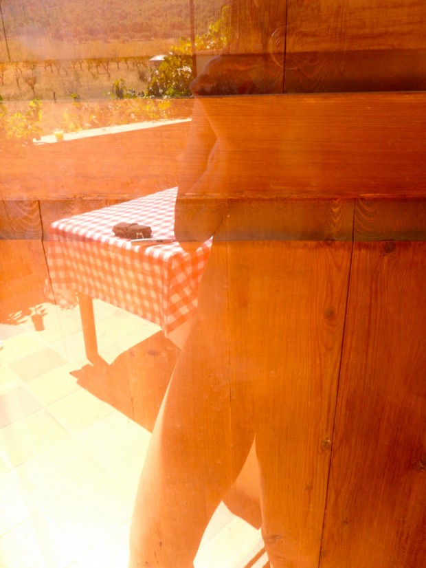 roser amills dsnuda reflejo cristal horta de sant joan