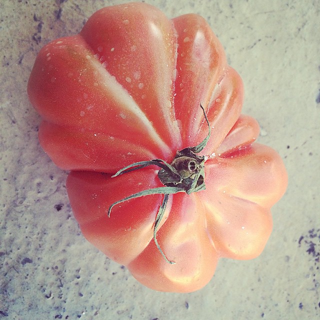 Tengo el tomate que dice "cómeme"!! ;))