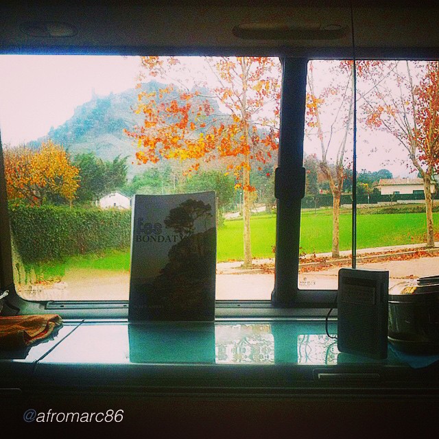 Fes bondat de Roser Amills