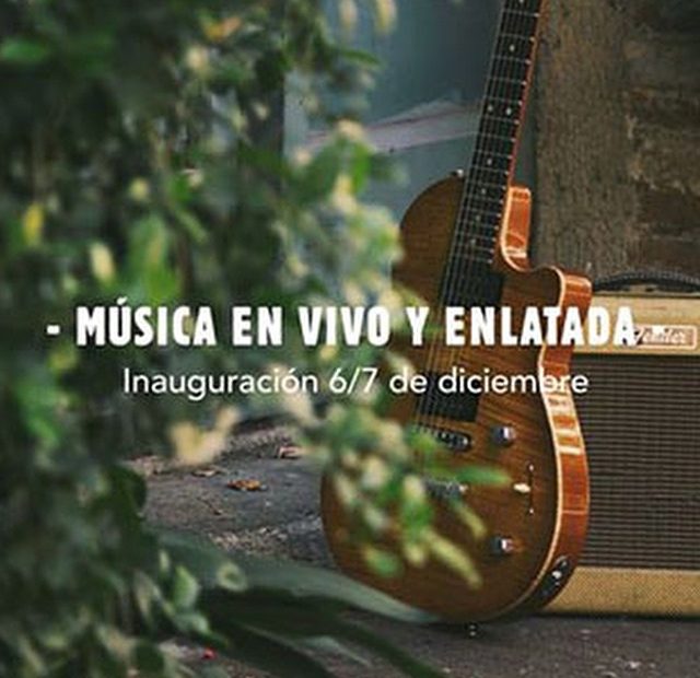 Musica En Vivo