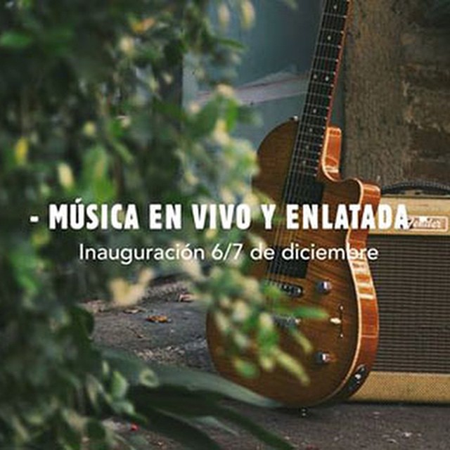 Musica En Vivo
