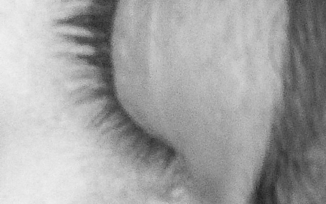 roser amills pestaña dormida