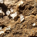 Gel al carrer #morella - Roser Amills, escritora mallorquina