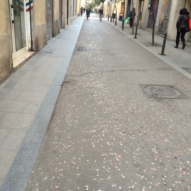 Calle estrecha de Barcelona por la mañana, con la acera salpicada de restos de pétalos