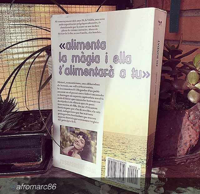 Fes bondat de roser amills