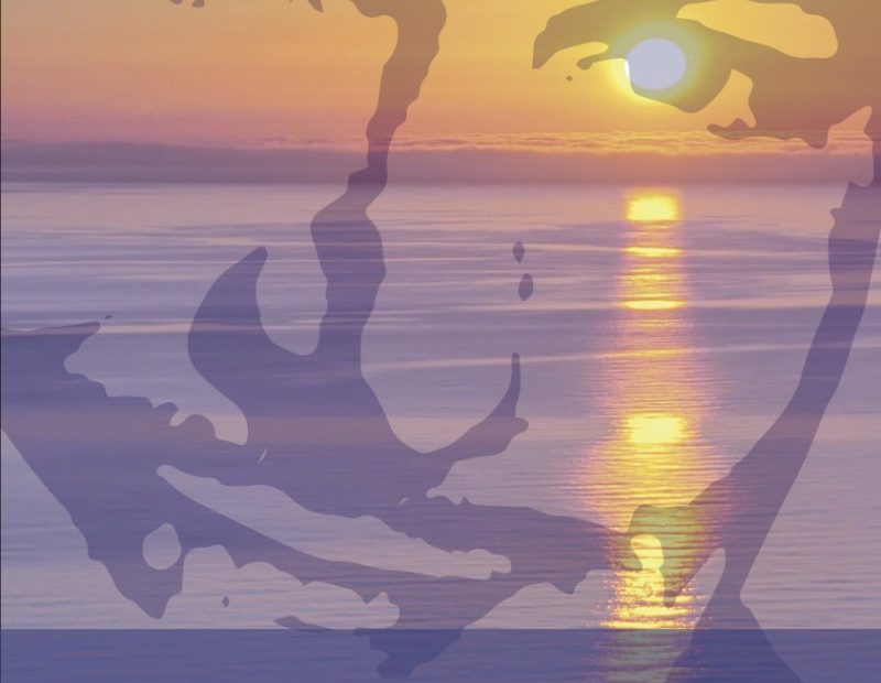 Novela El Ecuador De Ulises De Roser Amills Portada