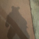 Sombra De Roser Amills