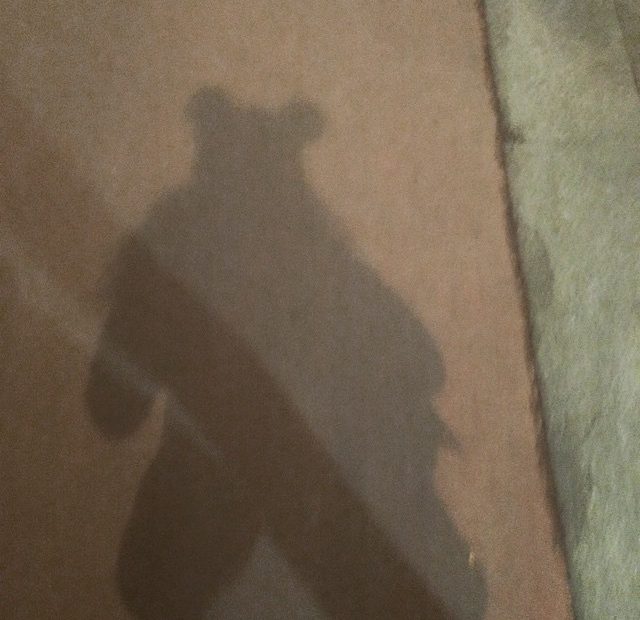 Sombra De Roser Amills