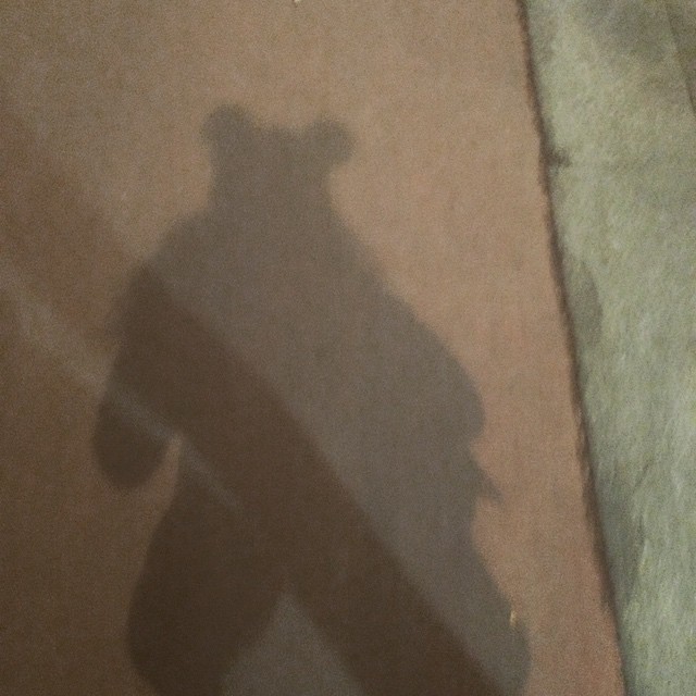 Sombra de Roser Amills con gorro de orejas sobre la acera