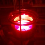 vela roja buenas noches