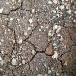 Para escribir, pongo los pies en tierra mallorquina. Me regaló la idea Cristóbal Jodorowsky ;)) - Roser Amills, escritora mallorquina