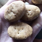 En #elecuadordeulises cuento un secreto glamouroso de las #galletasquely que os encantará ;)) - Roser Amills, escritora mallorquina