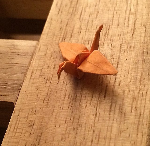 Roser Amills Papiroflexia