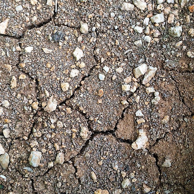 Roser Amills Tierra Mallorquina Para Escribir