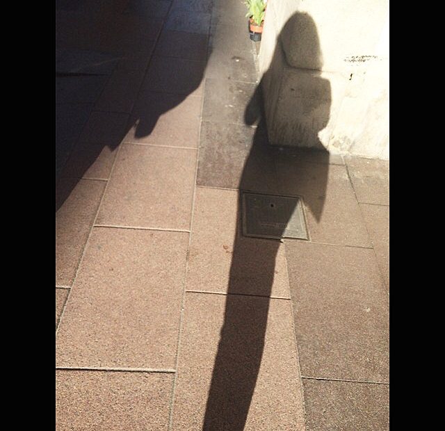 Sombra De Roser Amills