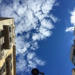 Feliz lunes, almas bonitas!!! - Roser Amills, escritora mallorquina