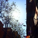 Bon dia!!! - Roser Amills, escritora mallorquina