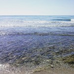 Bon dia!! «Canta y no te preocupes porque todo va a ir bien» Bob Marley - Roser Amills, escritora mallorquina