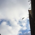 Lloverá? - Roser Amills, escritora mallorquina