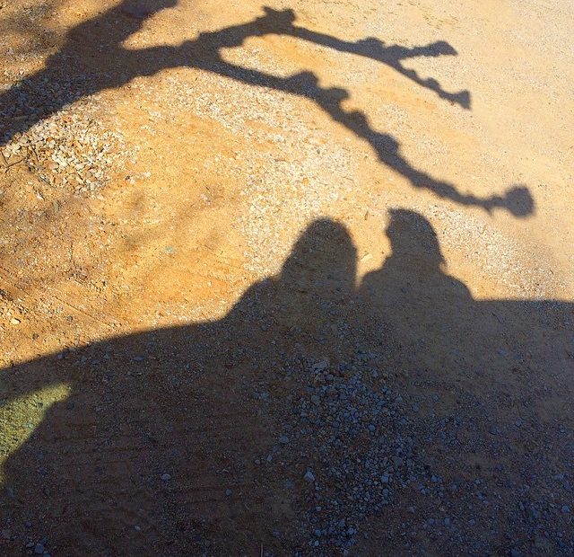 Sombras De Roser Amills Y Victor Amela