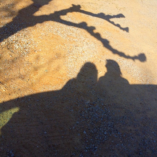 Sombras De Roser Amills Y Victor Amela