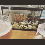 Bar con pecera sobre la barra #muyfengshui ? - Roser Amills, escritora mallorquina