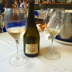 Les Brugueres excel.lent vi ;)) - Roser Amills, escritora mallorquina
