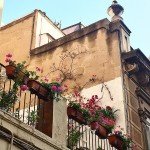 Proponeos florecer: el optimista tiene siempre un proyecto; el pesimista, una excusa ;)) - Roser Amills, escritora mallorquina