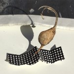 Buenos días y feliz sábado desde el Poblenou :)) - Roser Amills, escritora mallorquina