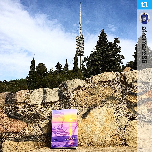 El Ecuador De Ulises Novela De Roser Amills