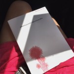 Maracaibo De Sabastia Portell Clar