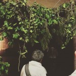 Roser Amills Bacanalia Tarraco Viva