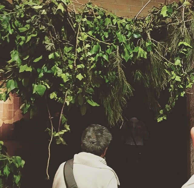 Roser Amills Bacanalia Tarraco Viva