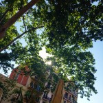 Amo las limitaciones porque son la causa de la inspiración. Susan Sontag - Roser Amills, escritora mallorquina
