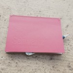 Cuaderno De Roser Amills Schwarts