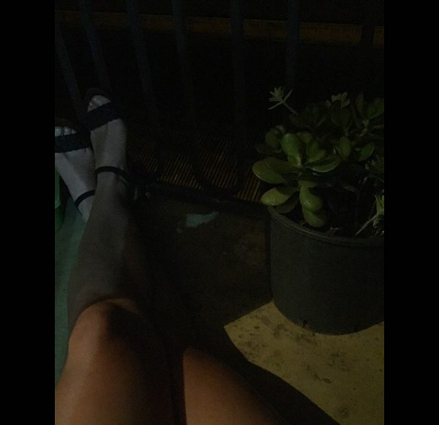 Pies De Roser Amills