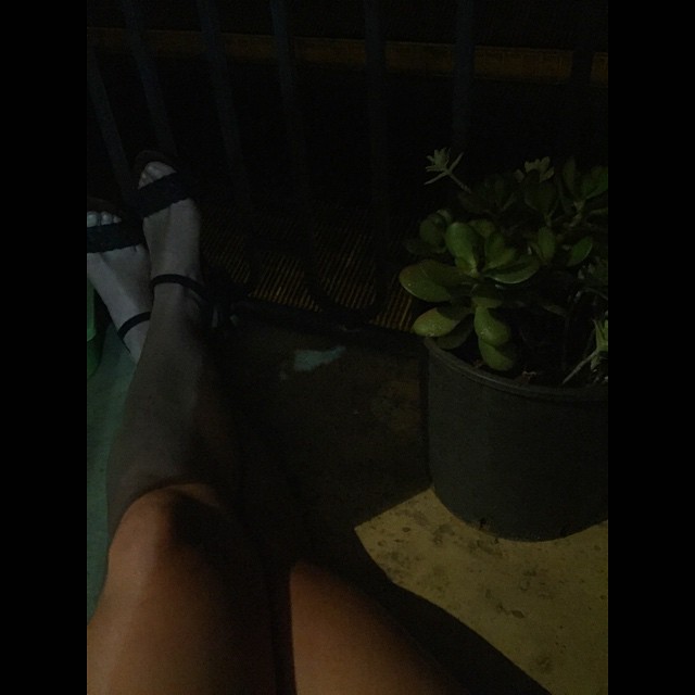 Pies De Roser Amills