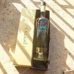 Qué alegría celebrar con #elperroverde su 10° aniversario cristalino, fresco y vibrante ;)) - Roser Amills, escritora mallorquina