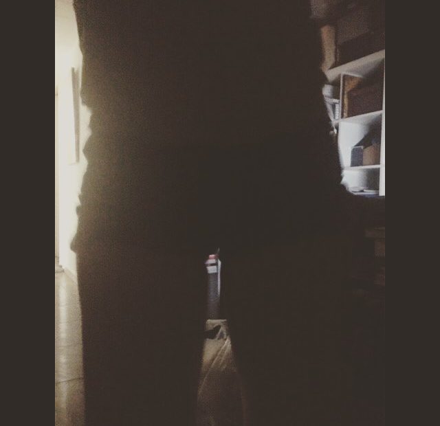 shorts de roser amills